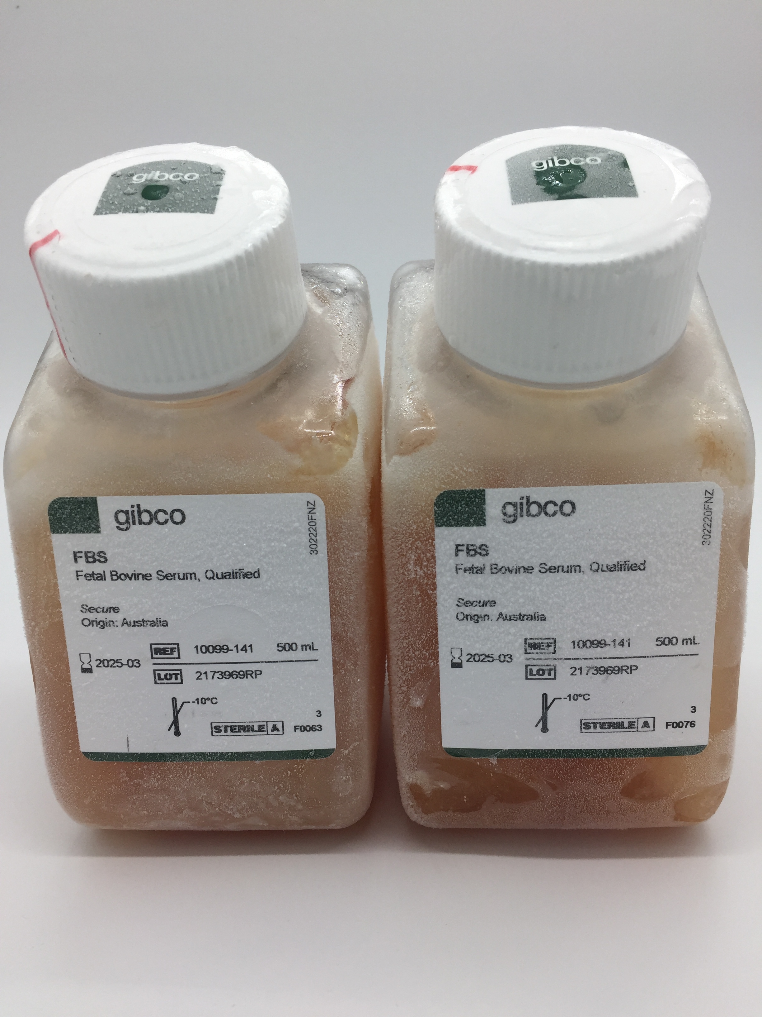 Gibco̥ţѪ(ѪԴ) ؛̖10099-141