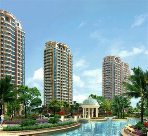 “候鳥(niǎo)”為什么看好海南海口市未來(lái)前景？